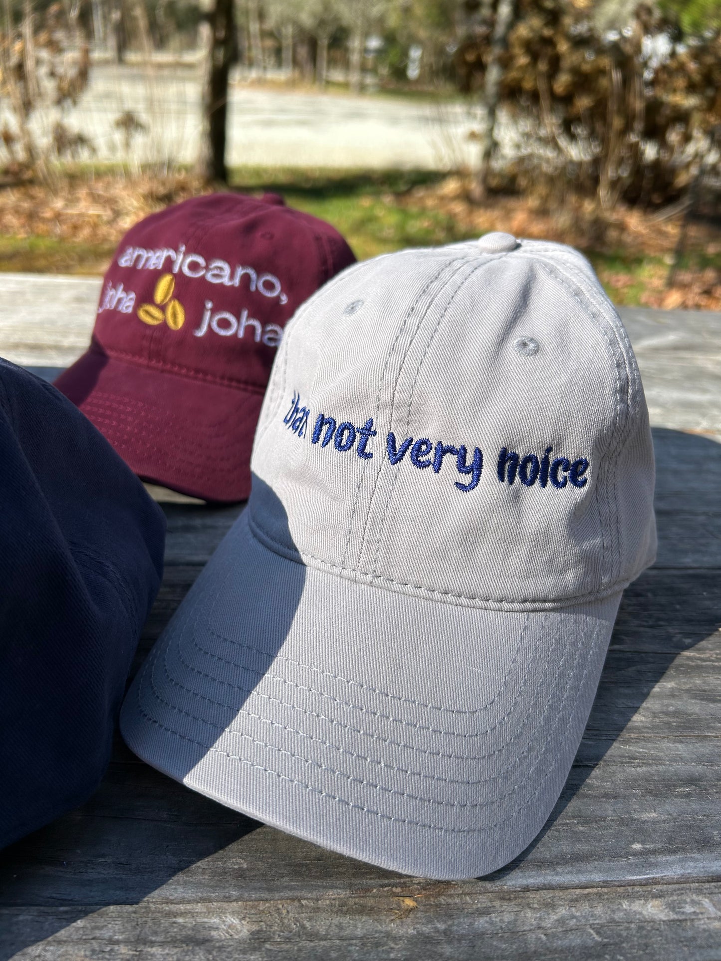 “Not Very Noice” Embroidered Cap
