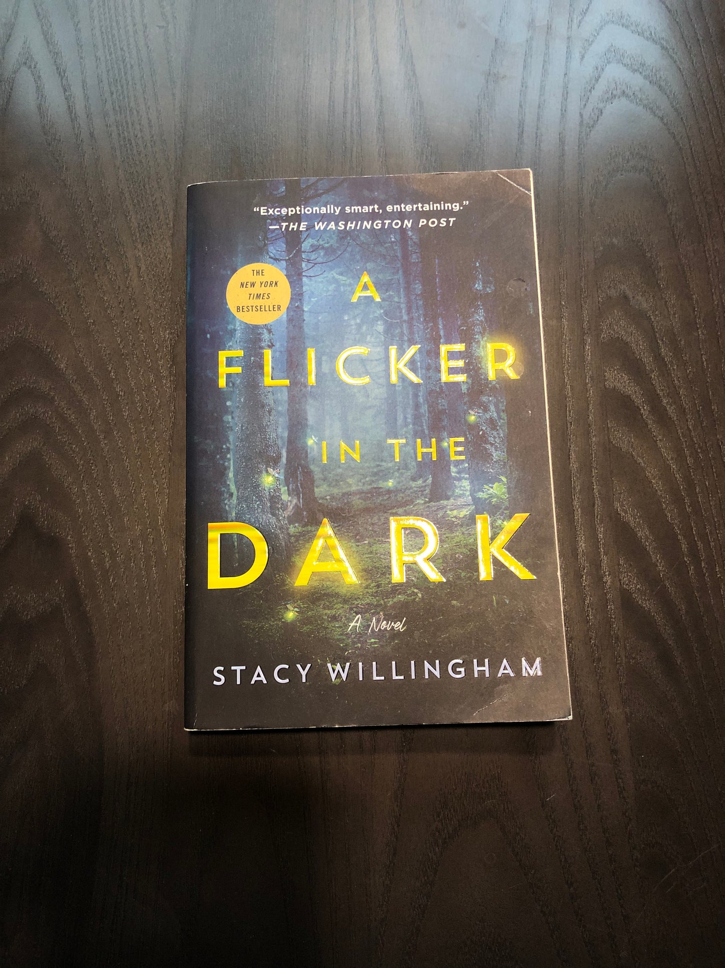 A Flicker in the Dark - Paperback