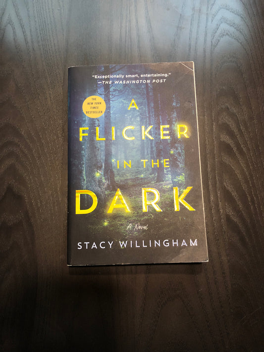 A Flicker in the Dark - Paperback